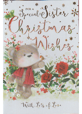 To A Special Sister Christmas Wishes